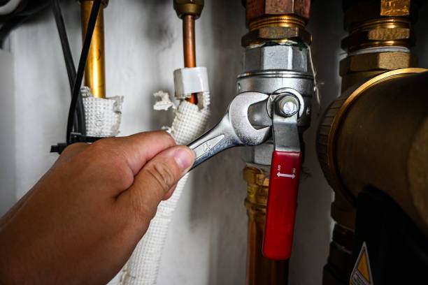 Best Local Plumber Services  in Algona, IA